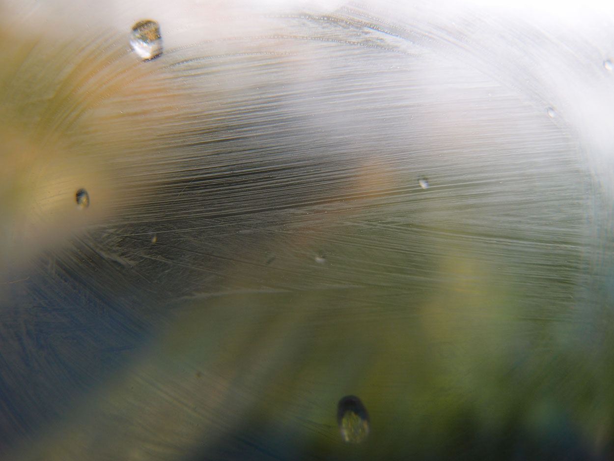 2016-02-10 am Fluss (Foto, Video)